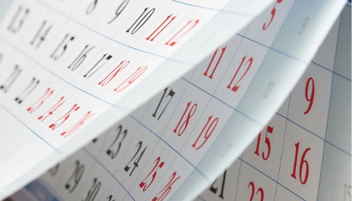 Calendário de papel mostrando os dias do ano